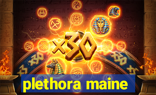 plethora maine
